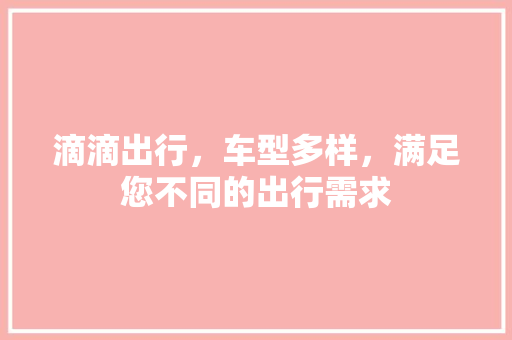 滴滴出行，车型多样，满足您不同的出行需求