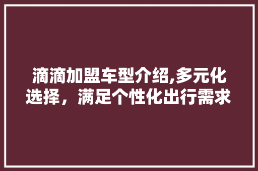 滴滴加盟车型介绍,多元化选择，满足个性化出行需求