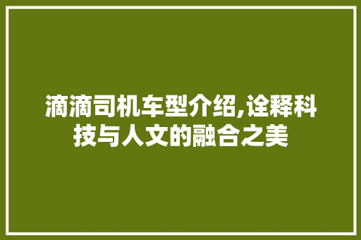 滴滴司机车型介绍,诠释科技与人文的融合之美