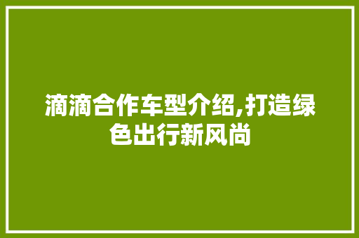 滴滴合作车型介绍,打造绿色出行新风尚