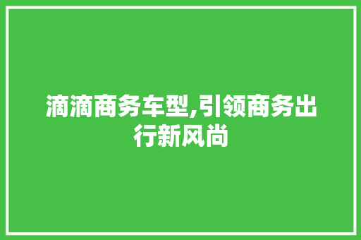 滴滴商务车型,引领商务出行新风尚