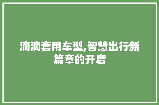 滴滴套用车型,智慧出行新篇章的开启
