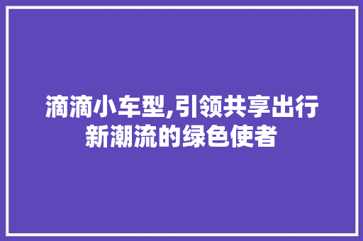滴滴小车型,引领共享出行新潮流的绿色使者
