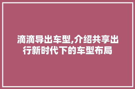 滴滴导出车型,介绍共享出行新时代下的车型布局 新款车型