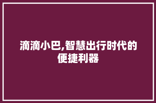 滴滴小巴,智慧出行时代的便捷利器