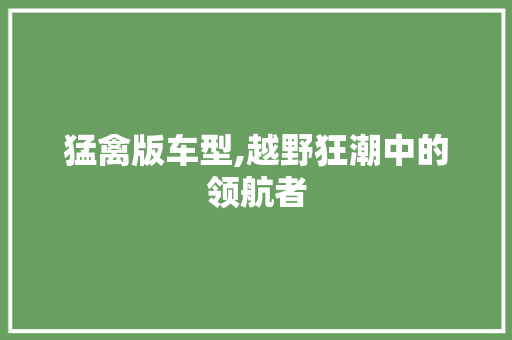 猛禽版车型,越野狂潮中的领航者