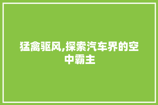 猛禽驱风,探索汽车界的空中霸主