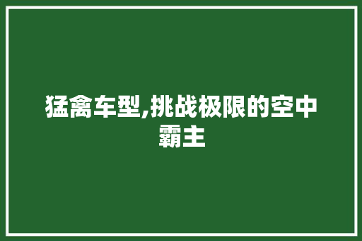 猛禽车型,挑战极限的空中霸主