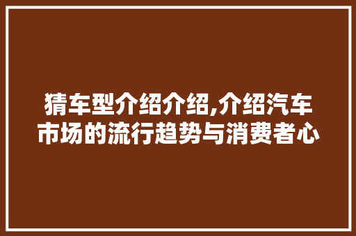 猜车型介绍介绍,介绍汽车市场的流行趋势与消费者心理