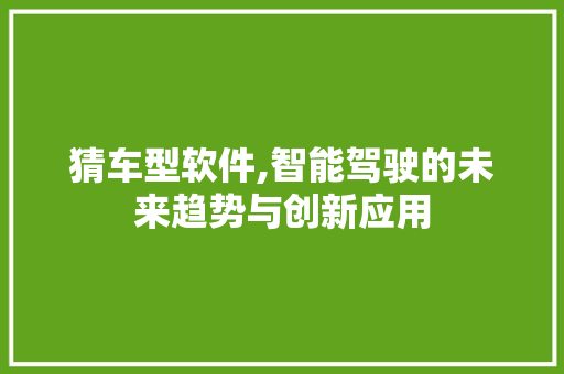 猜车型软件,智能驾驶的未来趋势与创新应用 新款车型