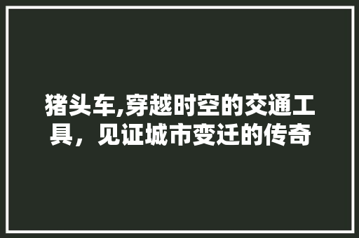 猪头车,穿越时空的交通工具，见证城市变迁的传奇
