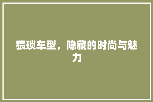 猥琐车型，隐藏的时尚与魅力