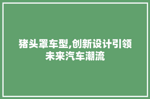猪头罩车型,创新设计引领未来汽车潮流