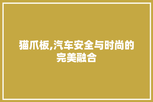 猫爪板,汽车安全与时尚的完美融合