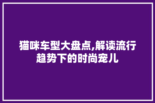 猫咪车型大盘点,解读流行趋势下的时尚宠儿