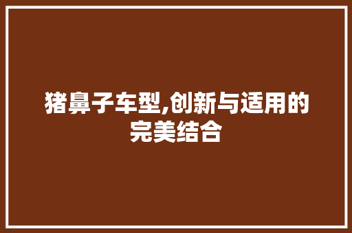 猪鼻子车型,创新与适用的完美结合