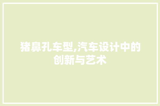 猪鼻孔车型,汽车设计中的创新与艺术 车身配件