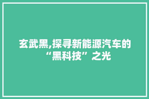 玄武黑,探寻新能源汽车的“黑科技”之光
