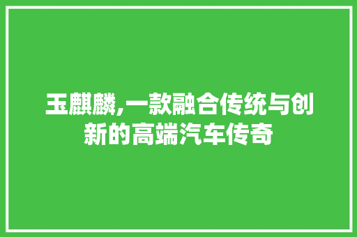 玉麒麟,一款融合传统与创新的高端汽车传奇