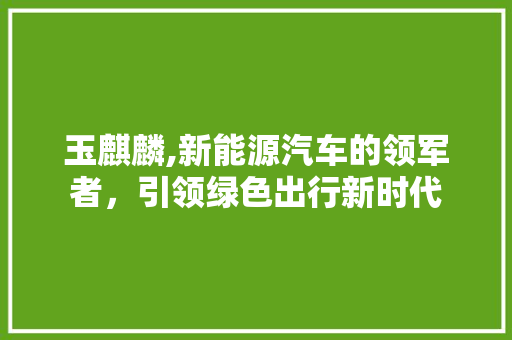玉麒麟,新能源汽车的领军者，引领绿色出行新时代