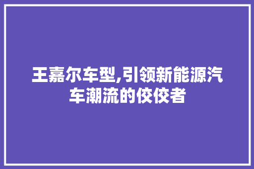 王嘉尔车型,引领新能源汽车潮流的佼佼者