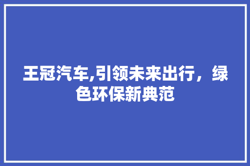 王冠汽车,引领未来出行，绿色环保新典范