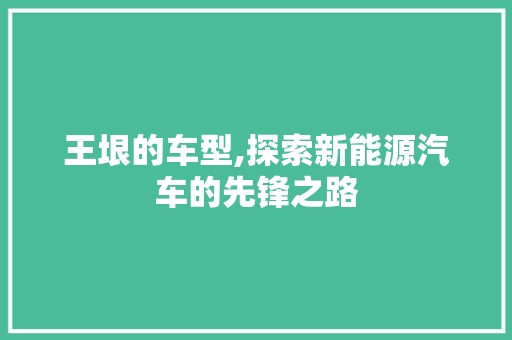 王垠的车型,探索新能源汽车的先锋之路