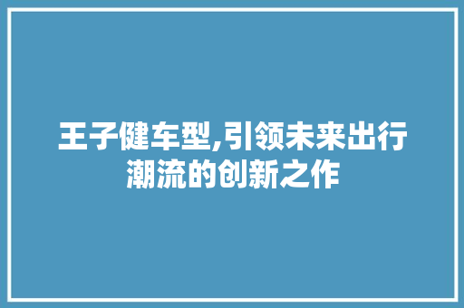 王子健车型,引领未来出行潮流的创新之作