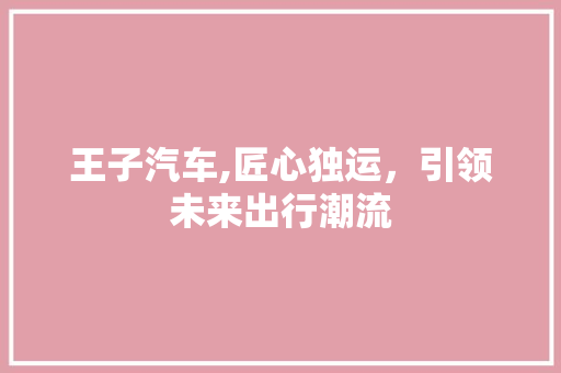 王子汽车,匠心独运，引领未来出行潮流