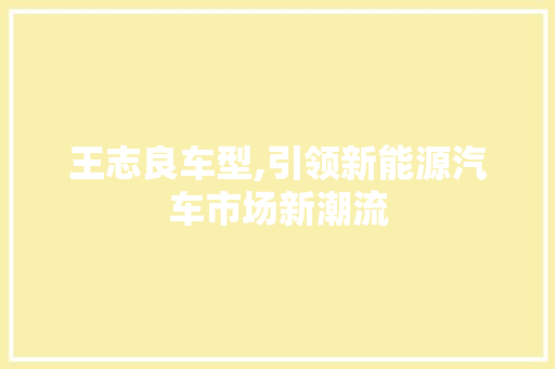 王志良车型,引领新能源汽车市场新潮流