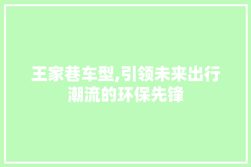 王家巷车型,引领未来出行潮流的环保先锋