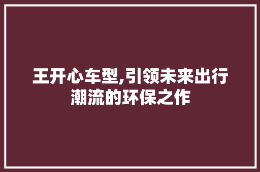王开心车型,引领未来出行潮流的环保之作
