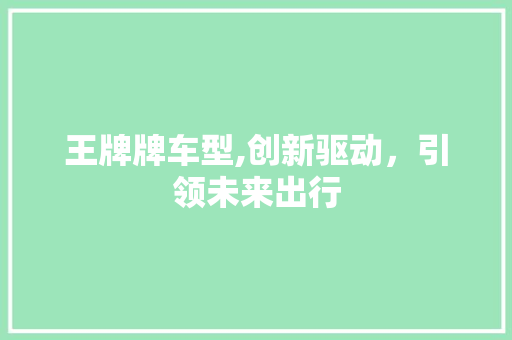 王牌牌车型,创新驱动，引领未来出行