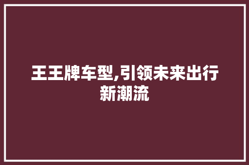 王王牌车型,引领未来出行新潮流 新款车型