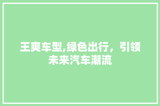 王爽车型,绿色出行，引领未来汽车潮流