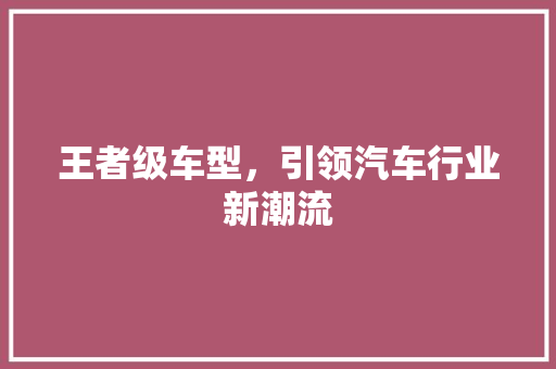 王者级车型，引领汽车行业新潮流
