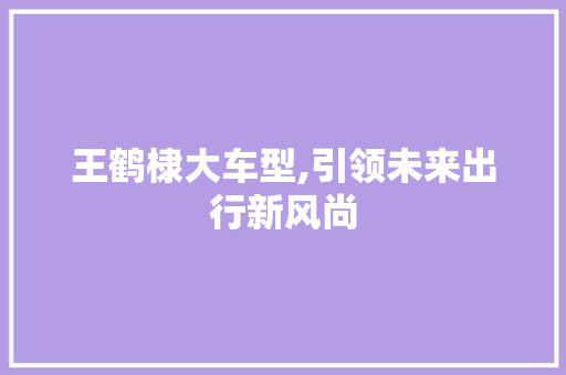 王鹤棣大车型,引领未来出行新风尚