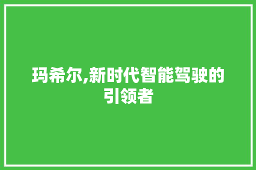 玛希尔,新时代智能驾驶的引领者