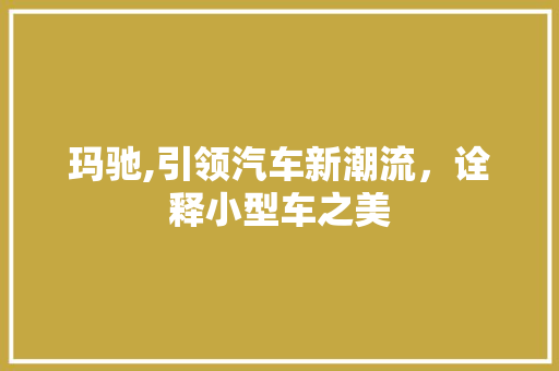 玛驰,引领汽车新潮流，诠释小型车之美
