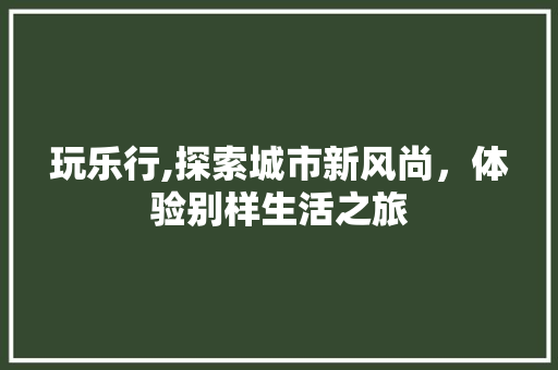 玩乐行,探索城市新风尚，体验别样生活之旅