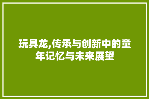 玩具龙,传承与创新中的童年记忆与未来展望
