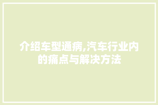介绍车型通病,汽车行业内的痛点与解决方法