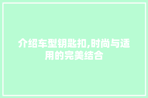 介绍车型钥匙扣,时尚与适用的完美结合