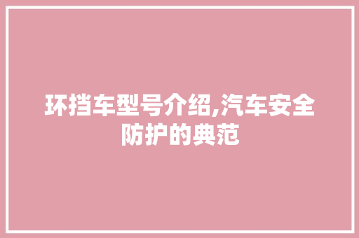 环挡车型号介绍,汽车安全防护的典范