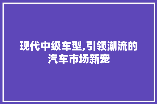 现代中级车型,引领潮流的汽车市场新宠