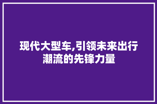 现代大型车,引领未来出行潮流的先锋力量