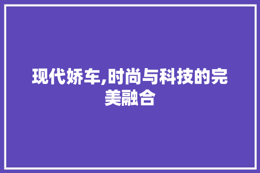 现代娇车,时尚与科技的完美融合