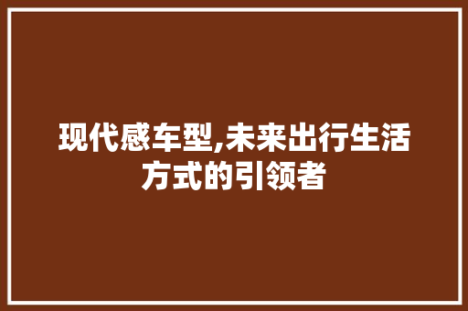 现代感车型,未来出行生活方式的引领者