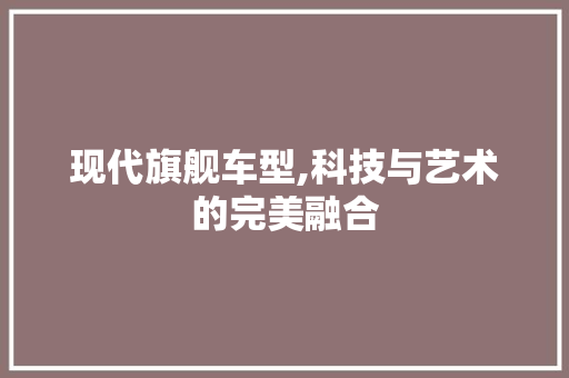 现代旗舰车型,科技与艺术的完美融合