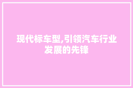 现代标车型,引领汽车行业发展的先锋